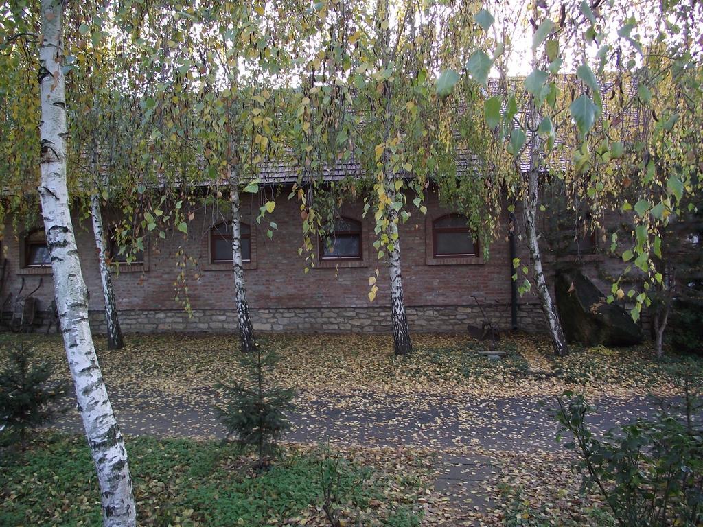 Szalma Vendeghaz Hotel Mogyorosbanya Exterior photo