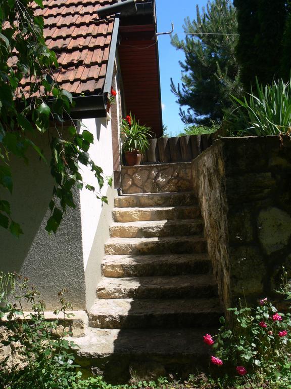 Szalma Vendeghaz Hotel Mogyorosbanya Exterior photo