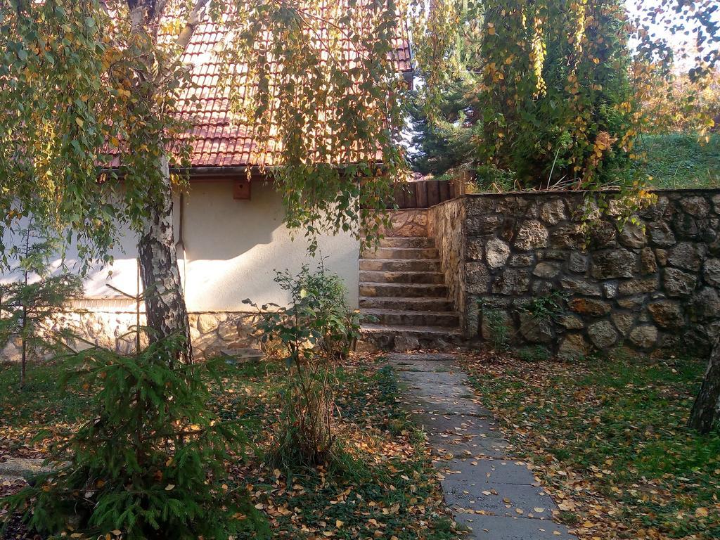 Szalma Vendeghaz Hotel Mogyorosbanya Exterior photo